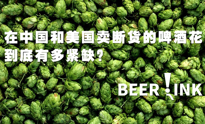 在中国和美国卖断货的啤酒花 到底有多紧缺？